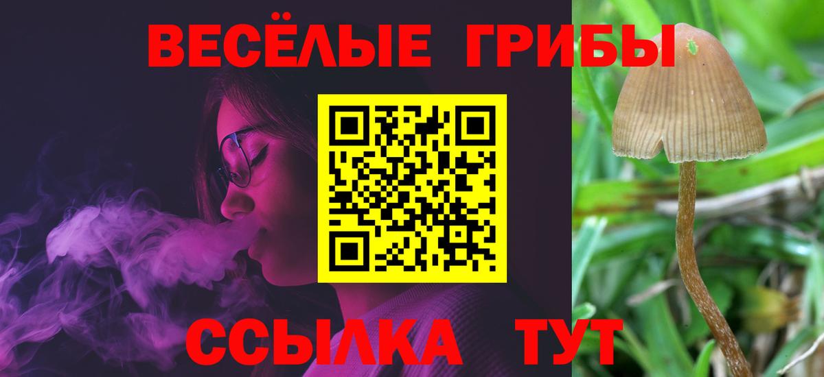 Феодосия  Галлюциногенные грибы прущие грибы  Вход с VPN 